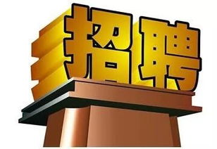 長(zhǎng)春軟件開發(fā)行業(yè)迎來(lái)新機(jī)遇，科技創(chuàng)新助力城市數(shù)字化轉(zhuǎn)型